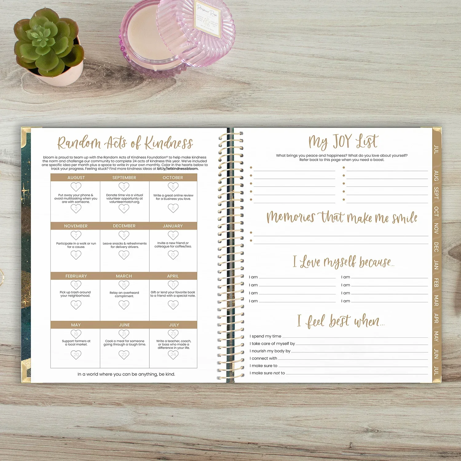 2026–27 Hard Cover Planner, 8.5" x 11" | Celestial Skies - Image 16