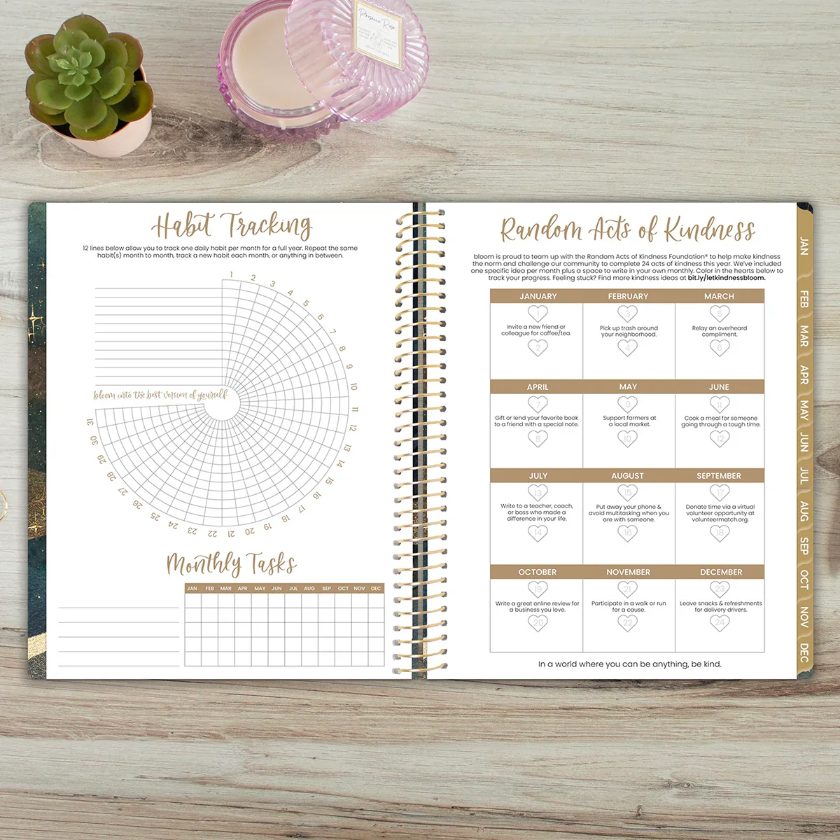 2026 Soft Cover Planner, 8.5" x 11", Celestial Skies - Image 14