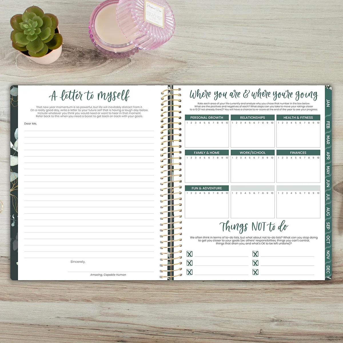 2026 Soft Cover Planner, 8.5" x 11", Eucalyptus, Green - Image 15