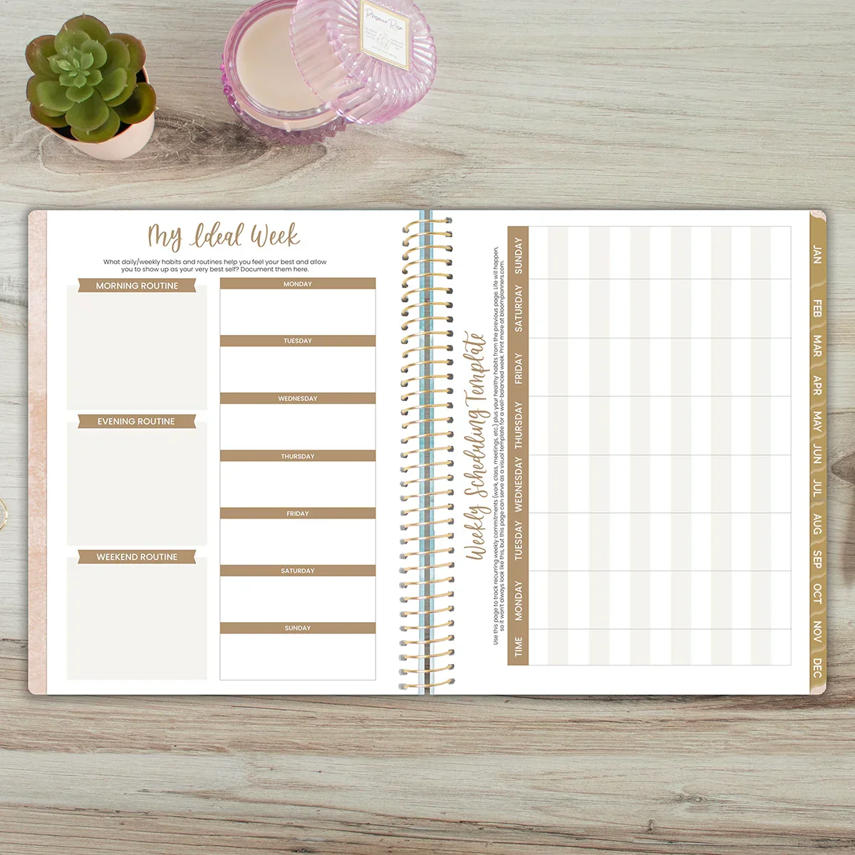 2026 Soft Cover Planner, 8.5" x 11", Ocean Oasis - Image 15