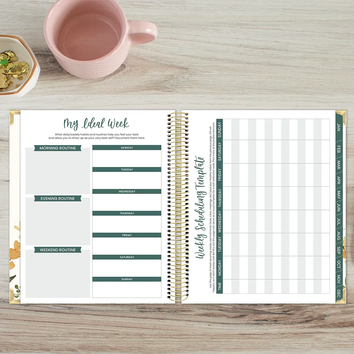 2026 Vision Planner, 7.5" x 9", Eucalyptus, White - Image 19