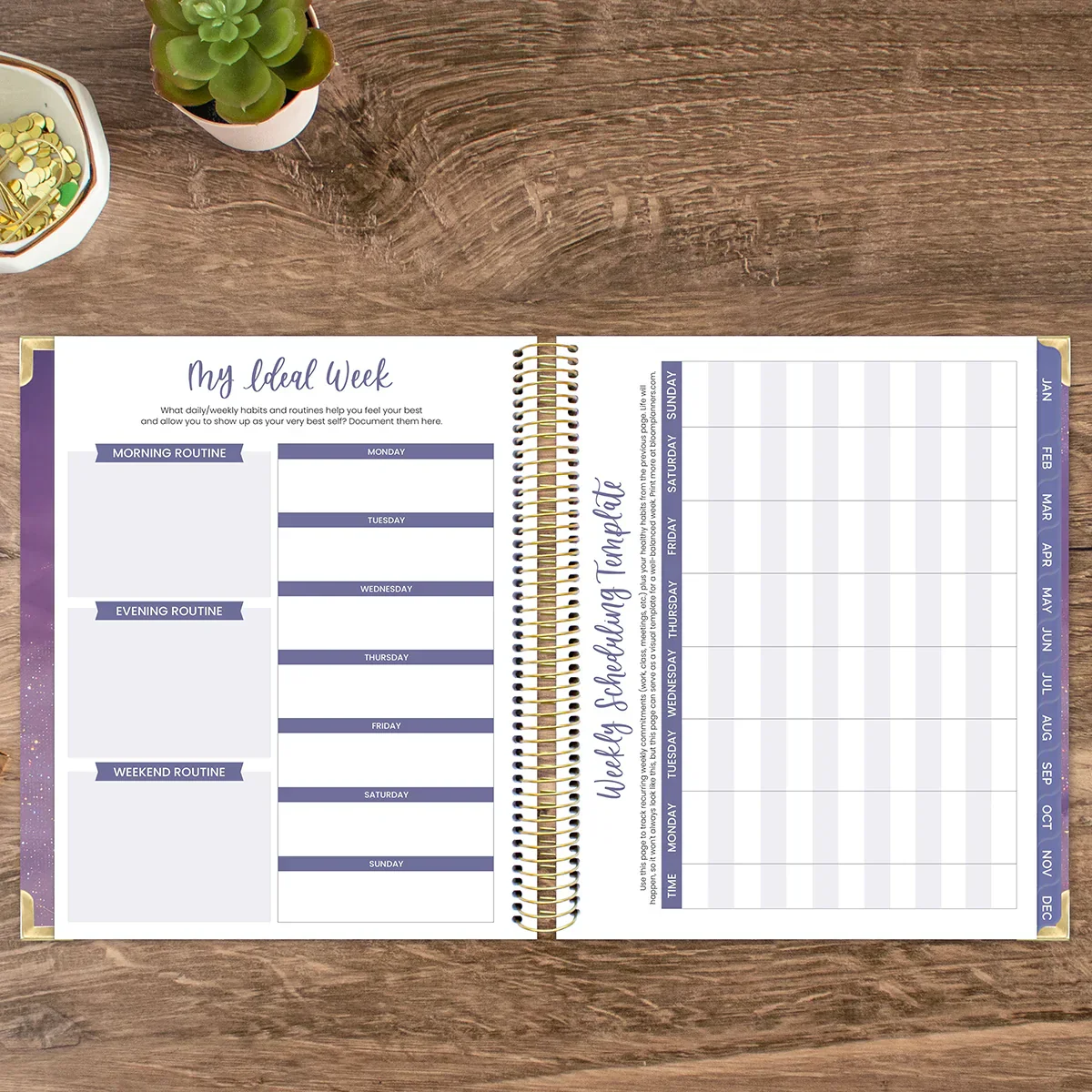 2026 Vision Planner, 7.5" x 9", Good Things Are Coming - Image 19