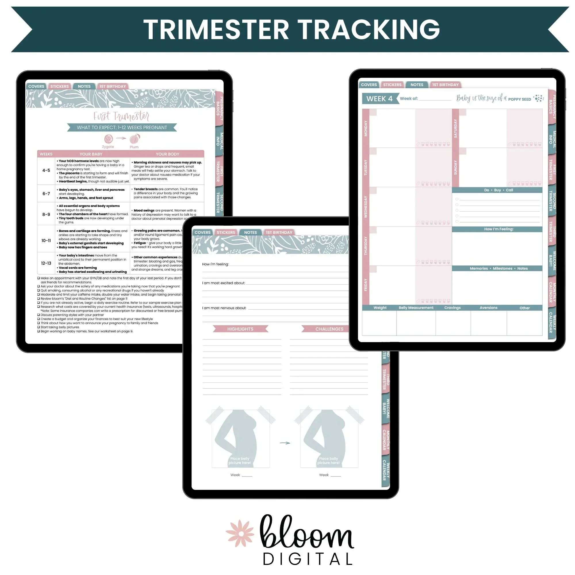 Digital Planner | Pregnancy & Baby's First Year - Image 6