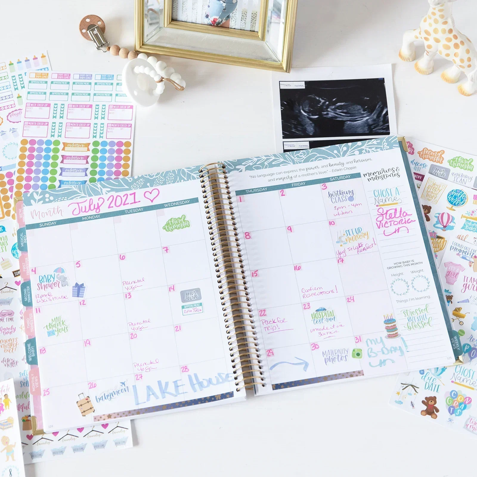 Planner Stickers | Pregnancy & Baby’s First Year - Image 19
