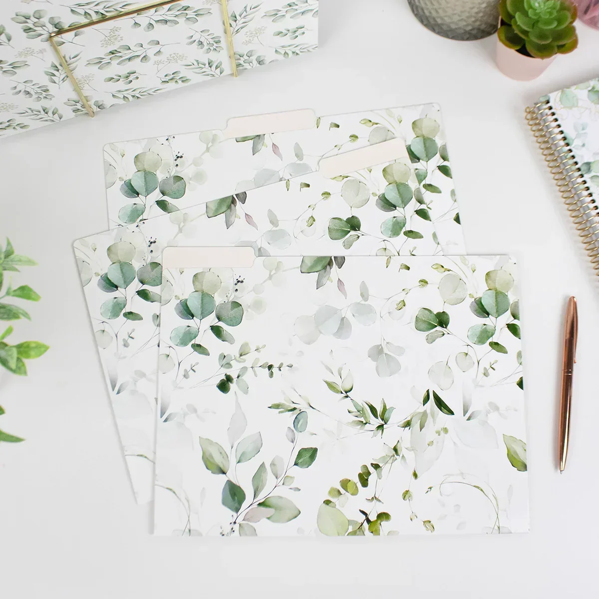 File Folder Set, 12-Pack | Eucalyptus - Image 15